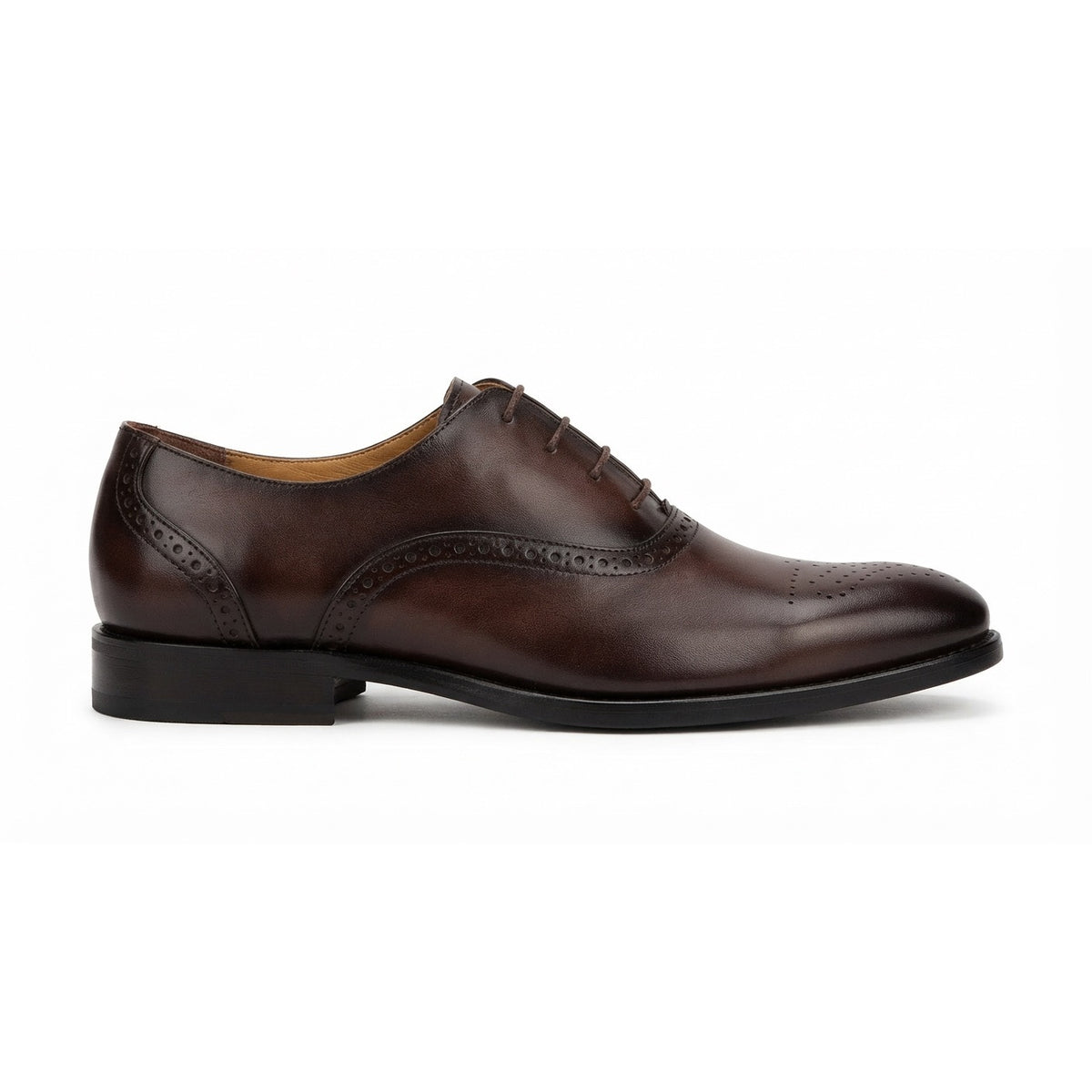 RO-1205 Royal Maroon Brogue Oxford